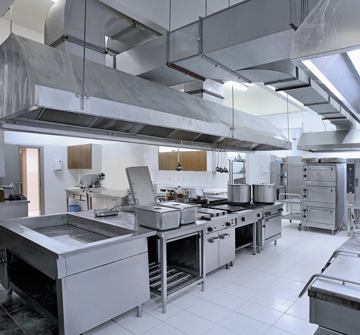 Commercial Pest Control Collegeville | TermiPro Pest Management Specialist