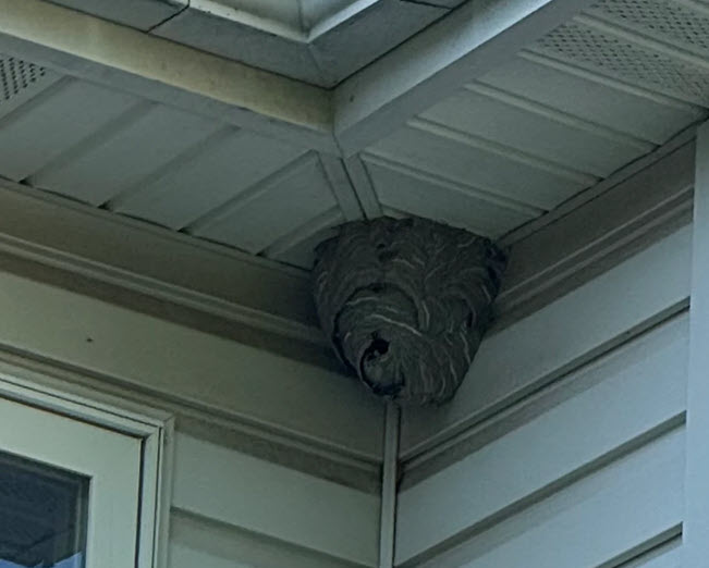 Residential Pest Control Management Collegeville Residential Pest Control Management Collegeville | TermiPro Pest Management Specialist