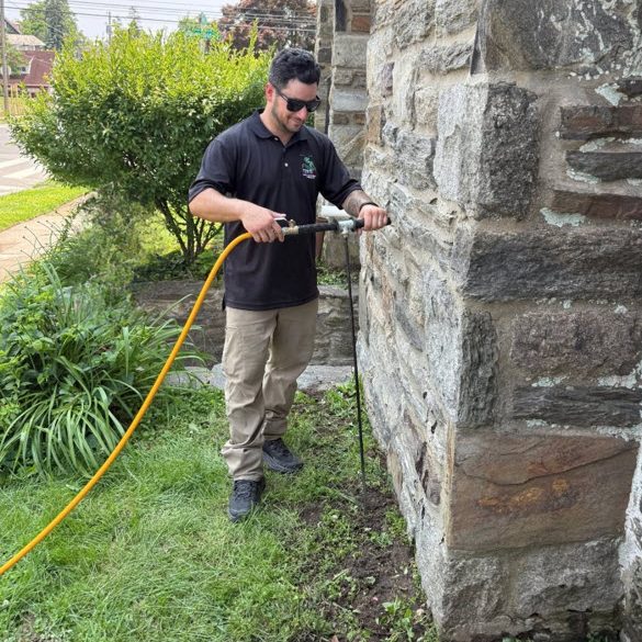 Termite Treatment