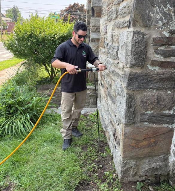 Termite Treatment Collegeville Termite Treatment Collegeville | TermiPro Pest Management Specialist