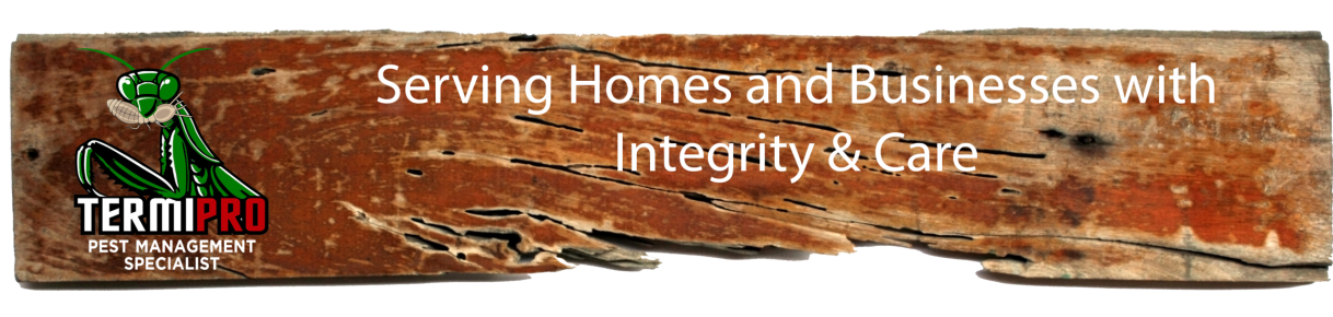 termipro pest services termite services